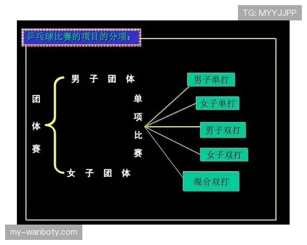 场地尺寸规则详解：哪些标准影响比赛判罚和裁判判断